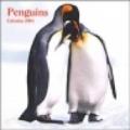 Penguins. Calendario 2004