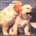 Puppy love. Calendario 2004