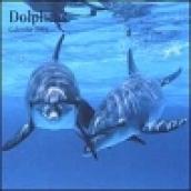 Dolphins. Calendario 2004 piccolo
