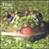 Frogs. Calendario 2004 piccolo