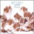 Kittens. Calendario 2004 piccolo