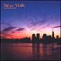 New York. Calendario 2004 piccolo