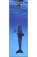 Dolphins. Calendario 2004 lungo
