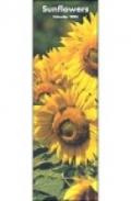 Sunflowers. Calendario 2004 lungo