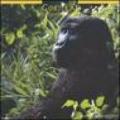 Gorillas. Calendario 2005