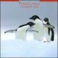 Penguins. Calendario 2005