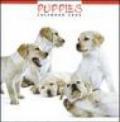 Puppies. Calendario 2005