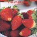Strawberries. Calendario 2005