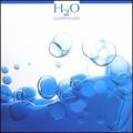 H2O. Calendario 2005