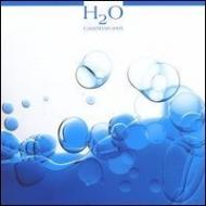 H2O. Calendario 2005