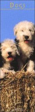 Dogs. Calendario 2005 lungo