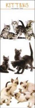 Kittens. Calendario 2005 lungo
