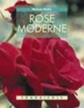 Rose moderne