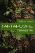 Tartarughe terrestri