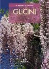 Glicini