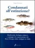 Condannati all'estinzione? Biodiversità, biologia, minacce e strategie di conservazione dei pesci d'acqua dolce indigeni in Italia