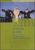 La bovina da latte. Gestione delle fasi di maggiore criticità nell'allevamento della lattifera