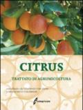 Citrus. Trattato di agrumicoltura