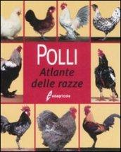 Polli. Atlante delle razze