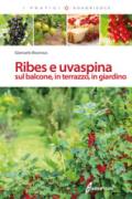 Ribes e uvaspina sul balcone, in terrazzo, in giardino