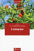 Il melograno