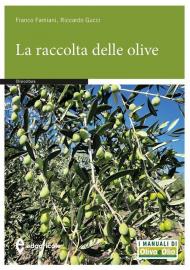 La raccolta delle olive