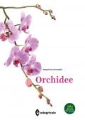 Orchidee