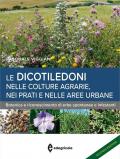 Le dicotiledoni nelle colture agrarie, nei prati e nelle aree urbane. Botanica e riconoscimento di erbe spontanee e infestanti