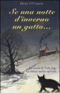 Se una notte d'inverno un gatto...