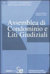 Assemblea di condominio e liti giudiziali