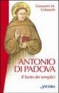 Antonio di Padova. Il santo dei semplici