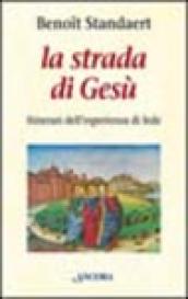 La strada di Gesù. Itinerari dell'esperienza di fede