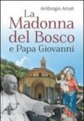 La Madonna del bosco e papa Giovanni