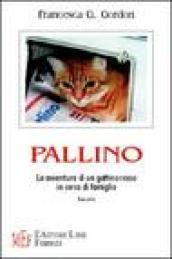 Pallino. Le avventure di un gattino rosso in cerca di famiglia