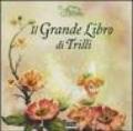 Il grande libro di Trilli. Fairies. Il mondo segreto di Trilli. Libro pop-up. Ediz. illustrata