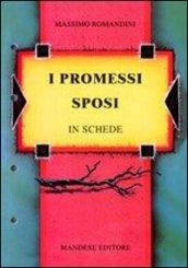 I Promessi sposi in schede. Verifiche, approfondimenti, riepiloghi, diversi strumenti didattici. Per le Scuole superiori