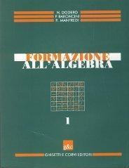 Formazione all'algebra. Per il biennio delle Scuole superiori: 1