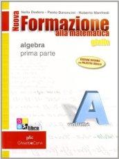 Nuova formazione alla matematica. Algebra. Con quaderno di recupero-Prove INVALSI. Giallo. Per gli Ist. professionali. Con CD-ROM. Con espansione online vol.1