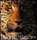 I signori della savana. Leopardi e ghepardi. Ediz. illustrata