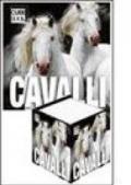 Cavalli