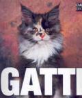 Gatti