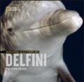 Delfini. Incontri ravvicinati. Ediz. illustrata