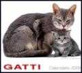 Gatti. Calendario 2009