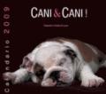 Cani. Calendario 2009