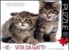 Vita da gatti! Puzzle. 1000 pezzi