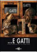 Gatti, gatti... e gatti