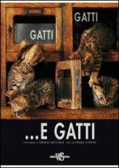 Gatti, gatti... e gatti