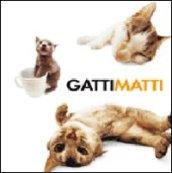 Gatti matti