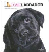 L come labrador