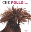 Che pollo!...